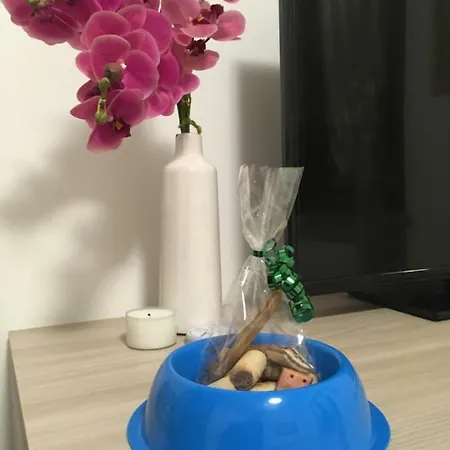 Casa Dany 게스트하우스