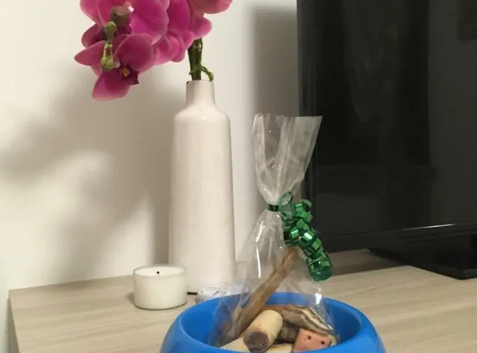 Casa Dany Гостевой дом